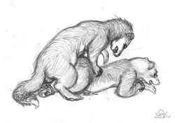 2015 anal anal_sex ass balls blush bondage bound closed_eyes cum duo ferret hindpaw looking_back male mammal mustelid nude oddwilds open_mouth paws pencil_(artwork) penetration plain_background rope sex sketch traditional_media_(artwork) weasel yaoi