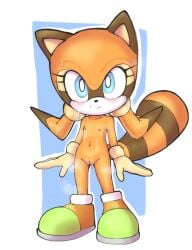 marine the raccoon from sega by colono