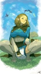 1girls breath_of_the_wild diaper diaper_fetish gennhauhnarts looking_pleasured masturbating masturbation rubbing_diaper the_legend_of_zelda:_breath_of_the_wild zelda_(breath_of_the_wild)