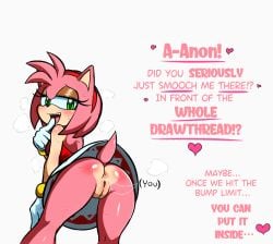 1girls amy_rose anus ass dialogue english_text presenting pussy sonic_(series) tagme upskirt