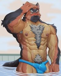 2024 4:5 abs absurd_res anthro armpit_hair biceps black_body black_fur blue_clothing blue_thong blue_underwear body_hair brown_hair bulge canid canine canis chest_tuft claws clothed clothing domestic_dog eye_scar facial_scar finger_claws fur german_shepherd green_pupils grey_(anil_nilnil) grey_hair hair hand_on_head herding_dog hi_res male mammal muscular muscular_anthro muscular_male navel nipples obliques orange_body orange_fur partially_submerged pastoral_dog pecs pool pubes pupils ratontheraccoon red_eyes scar snout snout_scar solo standing tan_body tan_fur thong thong_only topless tuft underwear underwear_only wet wet_body wet_fur