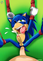 anthro blue_arms blue_fur bondage furry gay hedgehog male mammal rear_deliveries sonic_(series) sonic_the_hedgehog