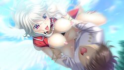 1boy angel_wings areolae bouncing_breasts breasts breasts_out censored female flying game_cg grey_hair happy happy_sex highres in_vitro_shoujo large_breasts legs long_hair mosaic_censoring navel nipples no_panties open_mouth penetration penis sex sky smile straight sweat tadano_akira thighs twin_braids vaginal_penetration wings