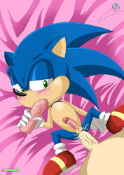 anthro blue_fur dildo furry hedgehog male male_only mammal multiple_males rear_deliveries sonic_(series) sonic_the_hedgehog yaoi