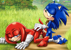 anthro blue_fur furry hedgehog knuckles_the_echidna male male_only mammal multiple_males rear_deliveries sonic_(series) sonic_boom sonic_the_hedgehog sonknux yaoi