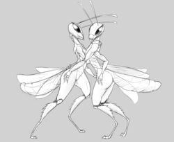 1boy 3_fingers 4_arms antennae anthro anthro_on_anthro arthropod arthropod_humanoid ass butt duo embracing eyelashes female full_body grasshopper grey_background greyscale hand_on_thigh humanoid insect_humanoid insect_wings insects male monochrome multi_arm multi_limb neck_grab nude penis penis_grab pussy semi-anthro side_view simple_background standing w4g4 wings yuri