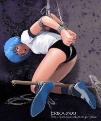 ayanami rei from neon genesis evangelion by shibata masahiro