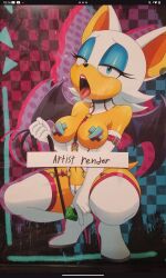 rouge the bat from sonic (series)
