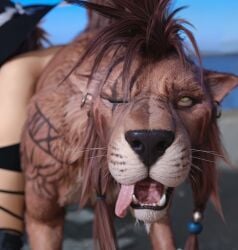 3d cloud_strife eyes_rolling_back feral feral_on_human feral_on_male final_fantasy final_fantasy_vii final_fantasy_vii_remake gay handjob hdregrets implied_handjob male public red_xiii tongue tongue_out yaoi zoophilia