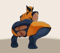 2d 2d_(artwork) 2d_artwork anus ass bara from_below gay hairy_anus hairy_ass hairy_male horkrugley looking_at_viewer looking_back looking_down looking_down_at_viewer looking_over_shoulder male male_only marvel muscular_male ripped_clothes ripped_clothing solo solo_male squatting torn_clothes torn_clothing wolverine_(x-men) worm's-eye_view x-men