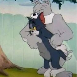 2boys anal animal_genitalia funny furry gay screenshot_edit spike_bulldog standing_sex tom_and_jerry tom_cat turner_entertainment yaoi