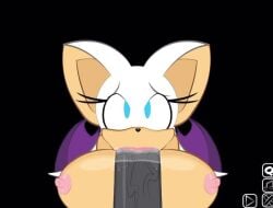 animated blowjob ctrl-z cum_in_mouth horsecock rouge_the_bat rule_63 shadow_the_hedgehog sonic_(series) sonic_transformed_3 tagme video