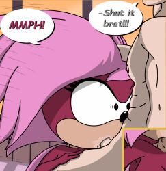 aleena_enjoyer forced_oral human human_on_anthro sex sonia_the_hedgehog sonic_(series) sonic_the_hedgehog_(series) sonic_underground