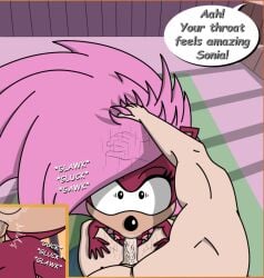 aleena_enjoyer forced_oral human human_domination human_on_anthro sex size_difference sonia_the_hedgehog sonic_(series) sonic_the_hedgehog_(series) sonic_underground