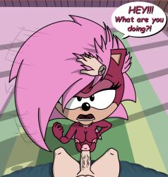 aleena_enjoyer forced human_on_anthro sex sonia_the_hedgehog sonic_(series) sonic_the_hedgehog_(series) sonic_underground