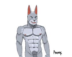 aninox anthro canid canine canis fur grey_body grey_fur hi_res male mammal muscular muscular_anthro muscular_male navel nipples partially_visible_penis pecs pubes solo wolf