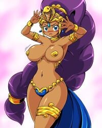 belly_dancer belly_dancer_outfit brown_skin dancer_outfit dancer_shantae female female_only fully_clothed harem_outfit paulgq revealing_clothes shantae shantae_(character) skimpy_clothes