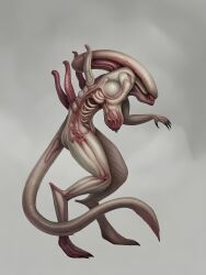 1girls ai_assisted ai_generated alien_(franchise) anatomy areolae ass bones breasts fangs female female_xenomorph internal large_breasts nipples organs puffy_nipples simple_background tail thick_thighs thighs upscaled x-ray xenomorph