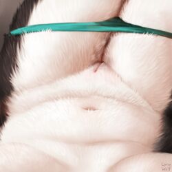 anthro anthro_pov biped black_body black_fur bodily_fluids border_collie breasts canid canine canis clothed clothing clothing_pull collie crotch_shot domestic_dog female female_pov first_person_view fur genital_fluids genitals herding_dog looking_at_genitalia looking_at_own_pussy looking_at_vulva lynxwolf2 mammal navel panties panties_down partially_clothed pastoral_dog ren_collie sheepdog solo underwear underwear_down underwear_pull vaginal_fluids vaginal_fluids_through_clothing vulva wet wet_clothing wet_panties wet_underwear white_body white_fur