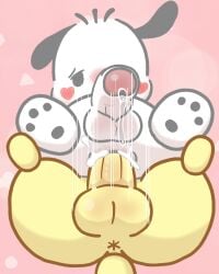 pochacco from sanrio by banned artist