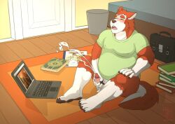 2015 anthro baraking biped book canid canine canis claws clothing computer ejaculation electronics eyes_closed fur inside laptop looking_pleasured male mammal masturbation multicolored_body multicolored_fur open_mouth paws red_body red_fur shirt sitting sitting_on_ground solo tail topwear white_body white_fur wolf