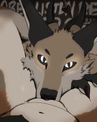 absurd_res black_sclera canid canid_demon canine canis claws clitoris coyobites coyote cunnilingus demon dominant dominant_male duo eye_contact female female_pov feral first_person_view genitals glowing glowing_eyes hand_on_leg hand_on_thigh hellhound hi_res horn humanoid_genitalia hypnosis leg_wrap lena_(coyobites) looking_at_another male male/female mammal mind_control mythological_canine mythological_creature mythology navel oral pupils questionable_consent sex slit_pupils spread_legs spreading story story_at_source story_in_description submissive submissive_female travon_(character) vaginal_penetration