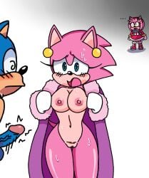 amy_rose areola background_character bannerniceman blue_body blue_fur blush bodily_fluids breasts embarrassed eulipotyphlan female fur genitals group hedgehog hedgehog_mother_(sonic_idw) hi_res idw_publishing male male/female mammal mature_female mother_(lore) nipples nude nude_female parent_(lore) penis pink_body pink_fur presenting sega sonic_(series) sonic_the_hedgehog sonic_the_hedgehog_(comics) sonic_the_hedgehog_(idw) sonic_the_hedgehog_(series) sweat trio vulva