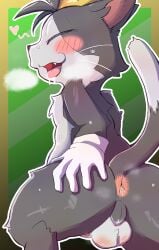 2025 absurd_res anal_fluids anthro anus ass backsack balls blush bodily_fluids border cait_sith_(ff7) closed_eyes dipstick_tail domestic_cat drooling felid feline felis final_fantasy final_fantasy_vii genitals green_background hi_res holding_butt male male_anthro mammal markings nude outline penis presenting presenting_anus presenting_hindquarters raised_tail saliva simple_background snaggle_tooth solo spread_butt spreading square_enix suzuinu sweat tail tail_markings tongue tongue_out whiskers white_outline yellow_border