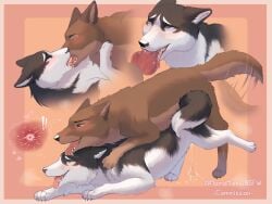 absurd_res after_transformation all_fours animal_genitalia aroused blush bodily_fluids canid canine colored cum cum_inside digital_drawing_(artwork) digital_media_(artwork) duo erection fellatio female feral feral_on_feral fur genital_fluids genitals hair hi_res human_to_feral impregnation kissing male male/female male_penetrating mammal momomichi_nsfw open_mouth oral ovum penetration penile penis saliva sex shaded simple_background smile species_transformation sperm_cell tail tongue transformation watermark