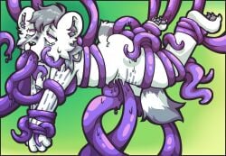 anal anal_sex anthro ass bodily_fluids breasts cel_shading digital_media_(artwork) eye_roll female femboy forced fur genet grey_body grey_fur hi_res hypnosis looking_pleasured mammal mind_control nashmaught nipples nude penetration quartz_(nashmaught) rape rough_sex sex shaded solo suspended_via_penetration suspended_via_tentacles tears tentacle tentacle_penetration tentacle_rape tentacle_sex tentacles_everywhere torogao trans_(lore) trans_man_(lore) vaginal_penetration viverrid white_body white_fur