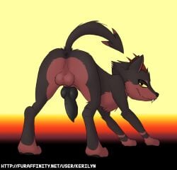 2021 animal_genitalia animal_penis anus ass balls canid canid_demon canine canine_genitalia canine_penis demon fangs feral feral_only futanari genitals hellhound hi_res horn intersex kerilyn kerilyn_(character) knot knotted_penis looking_at_viewer mammal mythological_canine mythological_creature mythology penis presenting presenting_anus presenting_hindquarters quadruped raised_tail smile smiling_at_viewer smirk smirking_at_viewer solo solo_focus spade_tail tail teeth