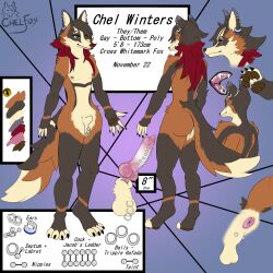 animal_genitalia animal_penis anthro anus backsack balls calico_fox canid canine canine_genitalia canine_penis chelfox chelfoxart clothing cross_fox ear_piercing ear_ring erection facial_piercing femboy fox frenum_ladder frenum_piercing genital_piercing genitals guiche_piercing hafada_piercing hi_res knot knotted_penis labret_piercing ladder_piercing lip_piercing male mammal model_sheet nipple_piercing nipples nonbinary_(lore) nose_piercing nude nude_male open_mouth pawpads paws penis penis_piercing piercing pupils red_fox ring_piercing scrotum_piercing septum_piercing sheath slit_pupils solo text true_fox underwear yellow_eyes