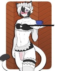 anthro biped blush bulge bulge_through_clothing clothed clothing dipstick_ears dipstick_tail domestic_cat ear_markings ereki_kagami felid feline felis hair hi_res male mammal markings multicolored_ears munkeesgomu solo tail tail_markings white_hair