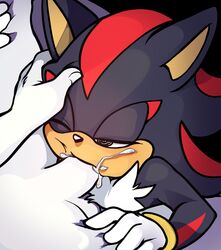 cum cum_in_mouth gay oral sandopoliszone shadow_the_hedgehog sonic_(series)