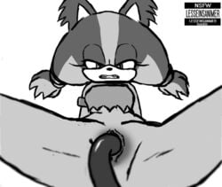 animated female furry gif lesseinsanimer penetration sega sex simple_background sonic_(series) sonic_boom sticks_the_badger sticks_the_jungle_badger sticks_the_tejon tentacle vaginal_penetration