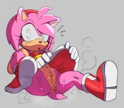 1girls amy_rose anus boots caught full_body goldsden lifted_by_self no_panties pink_fur red_dress sega sitting skirt_lift sonic_(series) sonic_the_hedgehog_(series) spazkid steam surprised sweat tail vagina