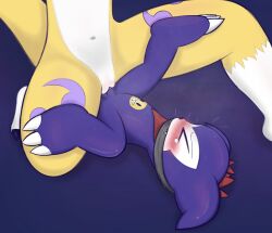 digimon femdom impmon male/female renamon submissive_male