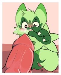 blush bodily_fluids claws duo erection floragato generation_9_pokemon genital_fluids genitals hi_res male male/male mammal nintendo open_mouth penis pokemon pokemon_(species) precum pukizel