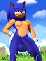 big_penis huge_cock male_focus male_only penis sega sonic_(series) sonic_the_hedgehog thick_thighs timidwithapen wide_hips