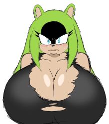 surge the tenrec from sega by momiji (artist)