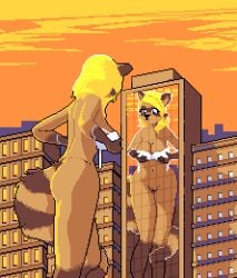 1girls 2d animated anthro ass big_breasts blonde_hair blue_eyes bottomless bra breasts brown_body brown_fur building building_reflection city clothed clothing digital_media_(artwork) dustmouse female female_only front_view fur genitals gif looking_at_self loop macro macro_anthro macro_female mammal markings mirror navel orange_sky outside pixel_art procyonid pussy raccoon rear_view reflection ring_(marking) ringed_tail short_playtime sky smile solo striped_markings striped_tail stripes tail tail_markings topwear underwear window