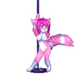 animated anthro canid canine dancing digital_media_(artwork) exhibitionism female fox fur genitals hair lewd_eden_games looking_at_viewer low_res mammal nipples pink_body pink_hair pink_nipples pixel_(artwork) pixel_animation pole pole_dancing public pussy raccoon_dog smile solo stage striped_body striped_fur stripes stripper stripper_pole symbell tanuki transparent_background voyeur werk_game