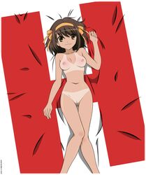 breasts female high_resolution nude pussy short_hair solo suzumiya_haruhi suzumiya_haruhi_no_yuuutsu tan tanline uncensored vector vector_trace