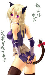 akamaru animal_ears ass assassin assassin_(ragnarok_online) blonde_hair blush butt_plug_tail buttplug buttplug_tail cat_ears crotchless_panties elbow_gloves gloves panties purple_eyes pussy_juice ragnarok_online simple_background suzuneko tail thighhighs underwear