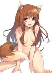 holo from spice and wolf by fuya (tempupupu)