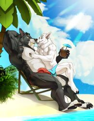 anthro beach beverage blizzard_entertainment bulge canid duo hi_res male male/male mammal muscular sand seyrmo sitting sitting_on_another size_difference warcraft water were werecanid worgen