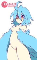 1girls animal_humanoid animated animated_gif avian avian_humanoid blue_hair blue_wings blush bouncing_breasts breasts digital_media_(artwork) diives feathers female female_only hair harpy heart humanoid loop monster_girl monster_girl_(genre) monster_musume monster_musume_no_iru_nichijou navel nipples nude papi_(monster_musume) patreon pussy small_breasts solo sехual thick_thighs wings