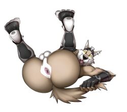 anthro anus balls bent_legs canid canine canis epic_games fortnite genitals hi_res legs_up looking_at_viewer low-angle_view lying male mammal on_back open_mouth open_smile rear_view seyrmo smile solo wendell_(fortnite) wolf