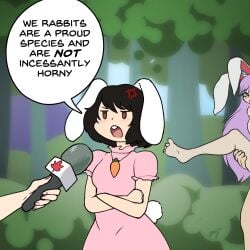 animal_humanoid black_hair blush breasts crossed_arms dialogue electronics female hair hi_res holding_microphone holding_object humanoid lagomorph lagomorph_humanoid leporid_humanoid male male/female mammal mammal_humanoid meme microphone nude offscreen_sex open_mouth purple_hair rabbit_humanoid reisen_udongein_inaba sex spread_legs spreading tewi_inaba text touhou zedrin