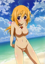 1girls charlotte_dunois female female_only infinite_stratos nipples nude nude_female photoshop pointy_chin pussy solo tagme uncensored